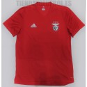 Camiseta oficial Benfica Entrenamiento Adidas 2018/19