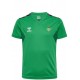 Camiseta oficial Entrenamiento Betis 2023/24 verde HUMMEL