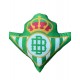 Cojín oficial Real Betis Balompié