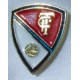 Pin -Pins Terrassa FC