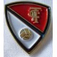 Pin -Pins Terrassa FC