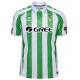 Camiseta oficial 1ª Real Betis 2024/25 hummel