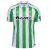 Camiseta oficial 1ª Real Betis 2024/25 hummel