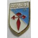 Pin Sociedad Deportiva Compostela