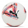 Balón liga 2024¬25 Puma