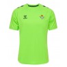 Camiseta oficial Entrenamiento Betis 2024/25 verde HUMMEL