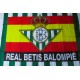 Bandera Grande Real Betis Balompié con España