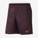 Pantalón oficial granate FC Barcelona Nike.