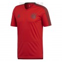 Camiseta oficial Bayern Munchen Entrena. 2018/19 Adidas